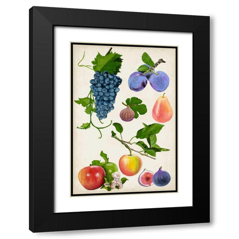 Fruit Collection II Black Modern Wood Framed Art Print with Double Matting by McCavitt, Naomi