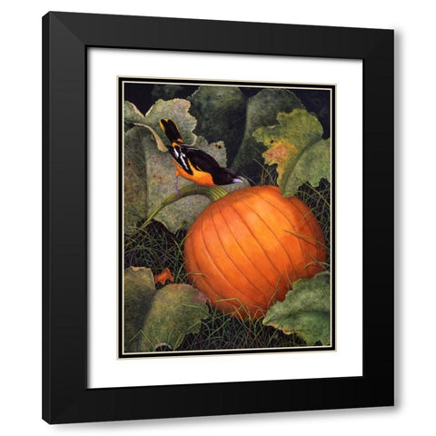 Oriole and Pumpkin Black Modern Wood Framed Art Print with Double Matting by Matcham, Marcia