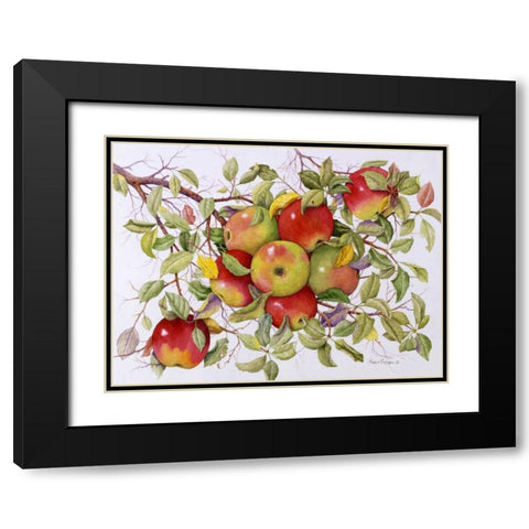 Apples Black Modern Wood Framed Art Print with Double Matting by Matcham, Marcia