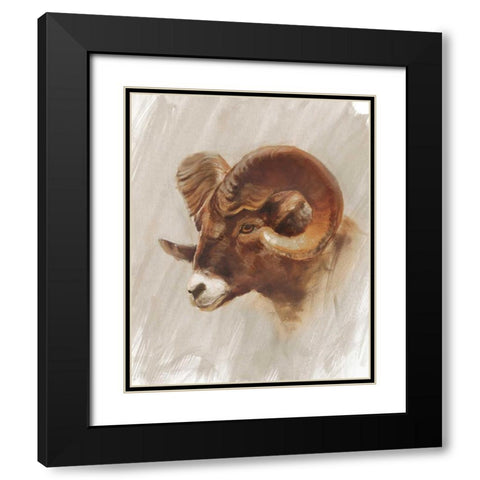 Western American Animal Study I Black Modern Wood Framed Art Print with Double Matting by Harper, Ethan