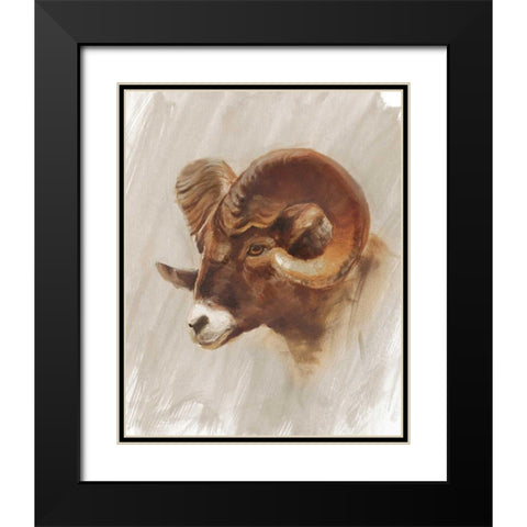 Western American Animal Study I Black Modern Wood Framed Art Print with Double Matting by Harper, Ethan