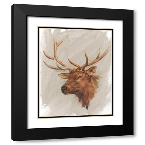 Western American Animal Study IV Black Modern Wood Framed Art Print with Double Matting by Harper, Ethan