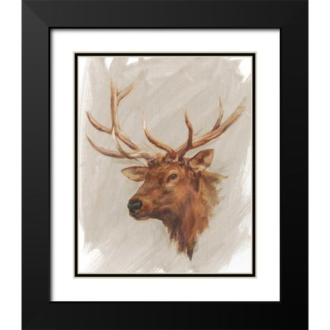 Western American Animal Study IV Black Modern Wood Framed Art Print with Double Matting by Harper, Ethan