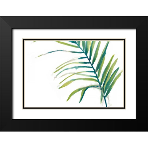 Palm Wonderful V Black Modern Wood Framed Art Print with Double Matting by Vess, June Erica