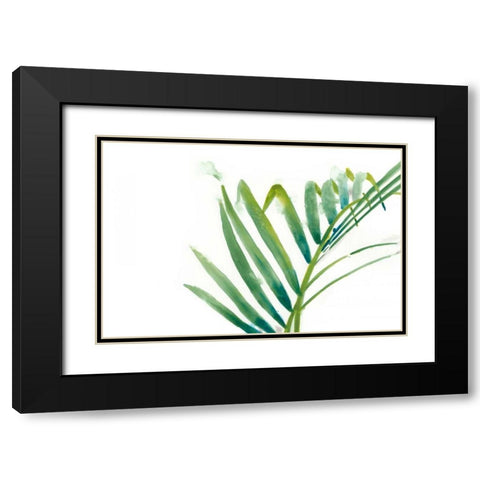 Palm Wonderful VI Black Modern Wood Framed Art Print with Double Matting by Vess, June Erica