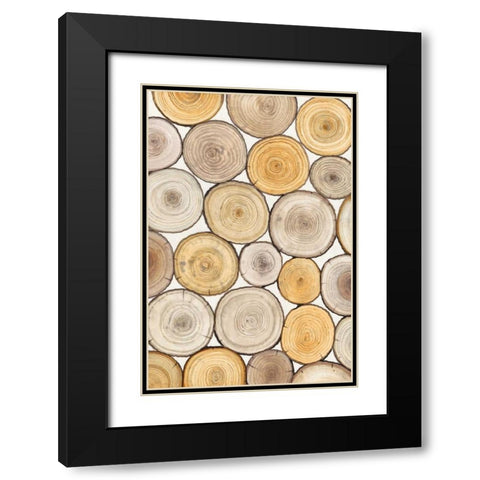 Tree Ring Study II Black Modern Wood Framed Art Print with Double Matting by OToole, Tim