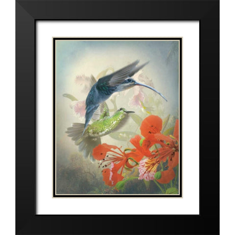 Hummingbird Cycle II Black Modern Wood Framed Art Print with Double Matting by Quintero, Sonja