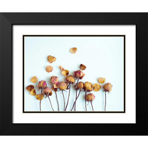 Golden Petals II Black Modern Wood Framed Art Print with Double Matting by Quintero, Sonja