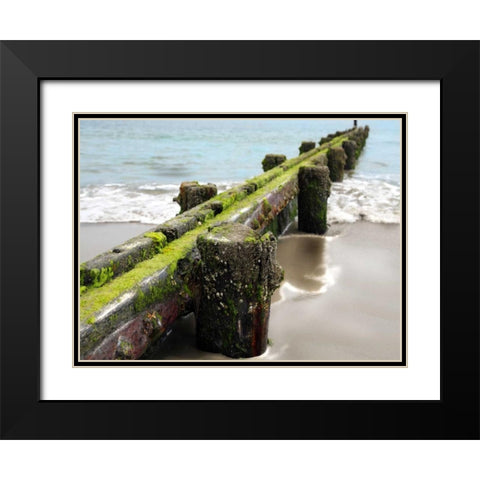 Scene Along the Water V Black Modern Wood Framed Art Print with Double Matting by Miamee, Golie