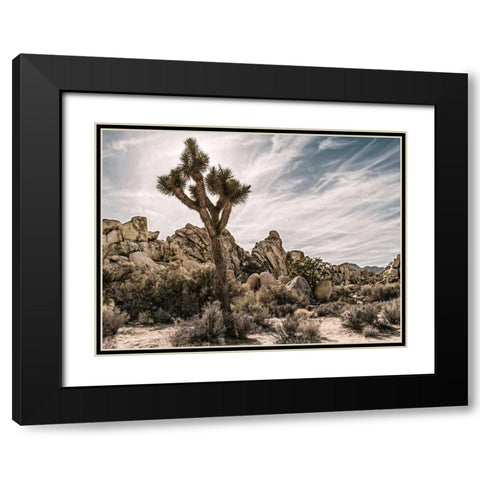 Views of Joshua Tree VIII Black Modern Wood Framed Art Print with Double Matting by Perry, Rachel