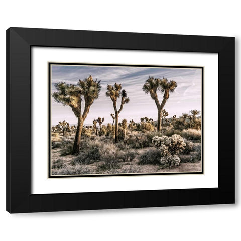 Views of Joshua Tree IX Black Modern Wood Framed Art Print with Double Matting by Perry, Rachel
