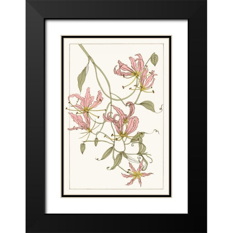 Botanical Gloriosa Lily II Black Modern Wood Framed Art Print with Double Matting by Wang, Melissa