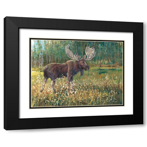Moose in the Field Black Modern Wood Framed Art Print with Double Matting by OToole, Tim