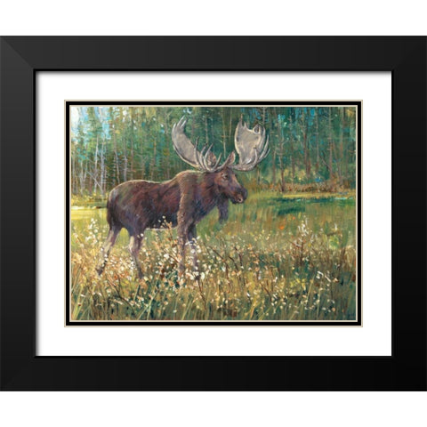 Moose in the Field Black Modern Wood Framed Art Print with Double Matting by OToole, Tim