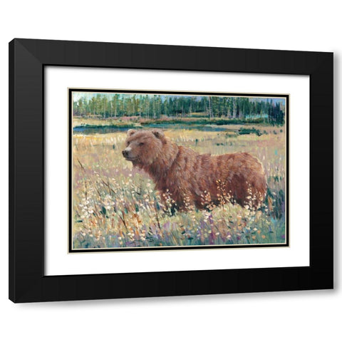 Bear in the Field Black Modern Wood Framed Art Print with Double Matting by OToole, Tim