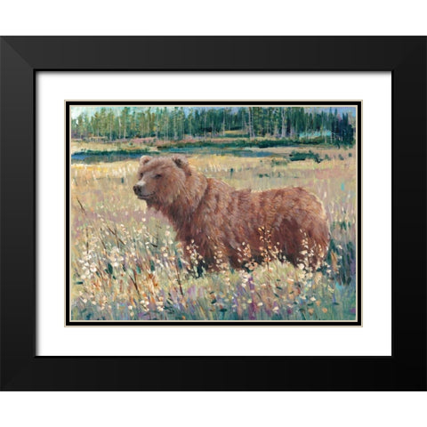 Bear in the Field Black Modern Wood Framed Art Print with Double Matting by OToole, Tim