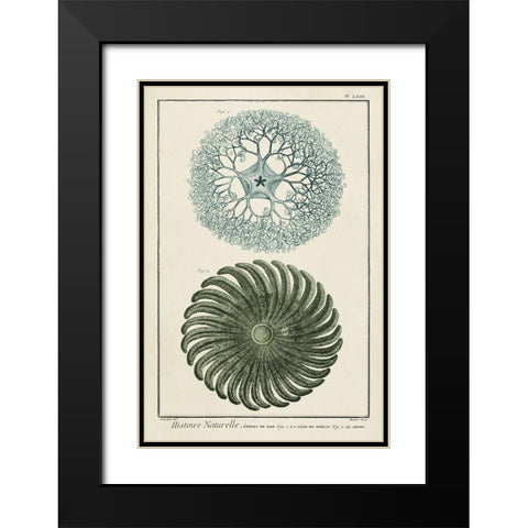 Custom Ocean Oddity I Black Modern Wood Framed Art Print with Double Matting by Vision Studio