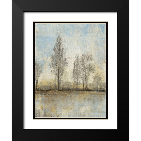 Custom Quiet Nature II Black Modern Wood Framed Art Print with Double Matting by OToole, Tim