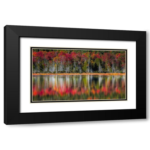 Autumn Reflections Black Modern Wood Framed Art Print with Double Matting by Head, Danny