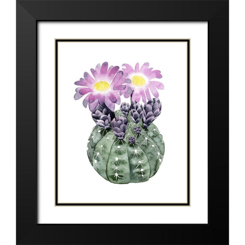 Custom Cactus Bloom IV Black Modern Wood Framed Art Print with Double Matting by Popp, Grace