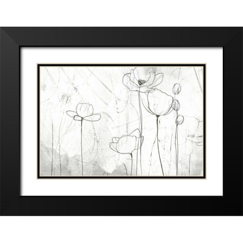 Poppy Sketches II Black Modern Wood Framed Art Print with Double Matting by Vess, June Erica