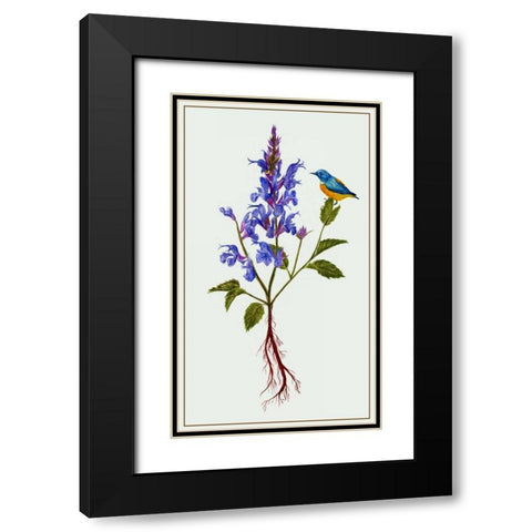 Salvia Miltiorrhiza I Black Modern Wood Framed Art Print with Double Matting by Wang, Melissa