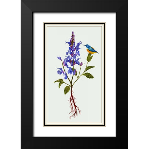 Salvia Miltiorrhiza I Black Modern Wood Framed Art Print with Double Matting by Wang, Melissa