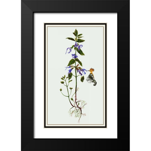 Salvia Miltiorrhiza II Black Modern Wood Framed Art Print with Double Matting by Wang, Melissa