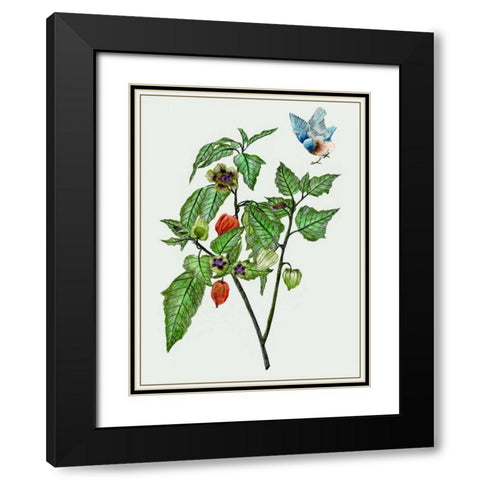 Cape Gooseberry I Black Modern Wood Framed Art Print with Double Matting by Wang, Melissa