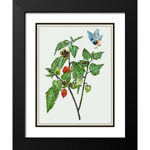 Cape Gooseberry I Black Modern Wood Framed Art Print with Double Matting by Wang, Melissa