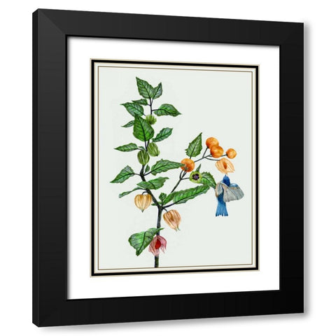 Cape Gooseberry II Black Modern Wood Framed Art Print with Double Matting by Wang, Melissa