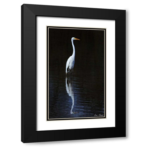 Elegant Egret II Black Modern Wood Framed Art Print with Double Matting by Drost, David