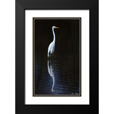 Elegant Egret II Black Modern Wood Framed Art Print with Double Matting by Drost, David