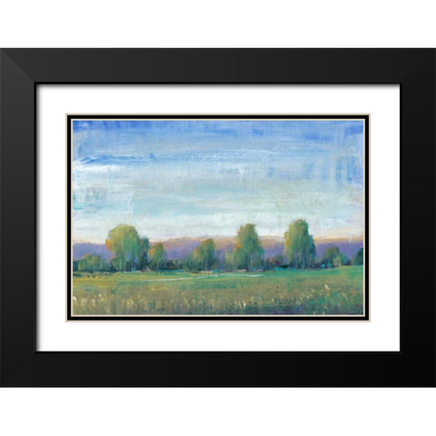 Glen Haven II Black Modern Wood Framed Art Print with Double Matting by OToole, Tim