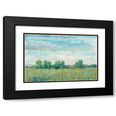 Splendor in Spring I Black Modern Wood Framed Art Print with Double Matting by OToole, Tim