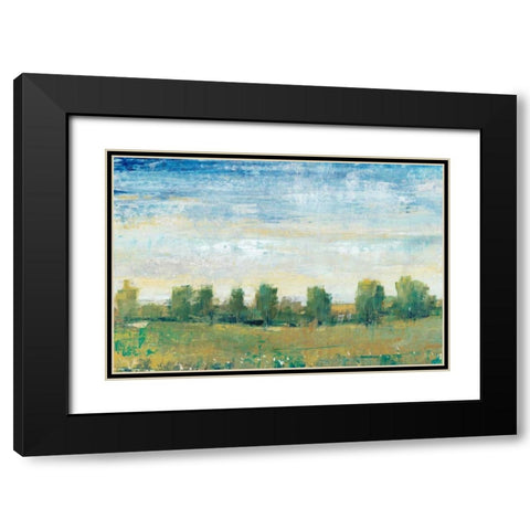 Splendor in Spring II Black Modern Wood Framed Art Print with Double Matting by OToole, Tim