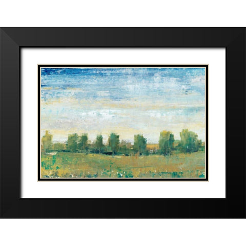 Splendor in Spring II Black Modern Wood Framed Art Print with Double Matting by OToole, Tim