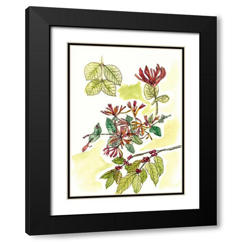 Floral Field Notes IV Black Modern Wood Framed Art Print with Double Matting by Wang, Melissa