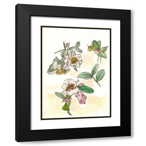 Camellia Study Black Modern Wood Framed Art Print with Double Matting by Wang, Melissa