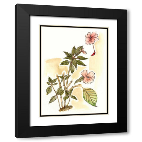 Impatiens Study Black Modern Wood Framed Art Print with Double Matting by Wang, Melissa