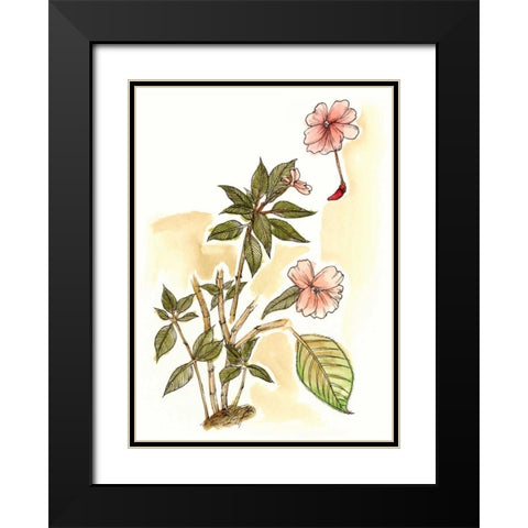 Impatiens Study Black Modern Wood Framed Art Print with Double Matting by Wang, Melissa