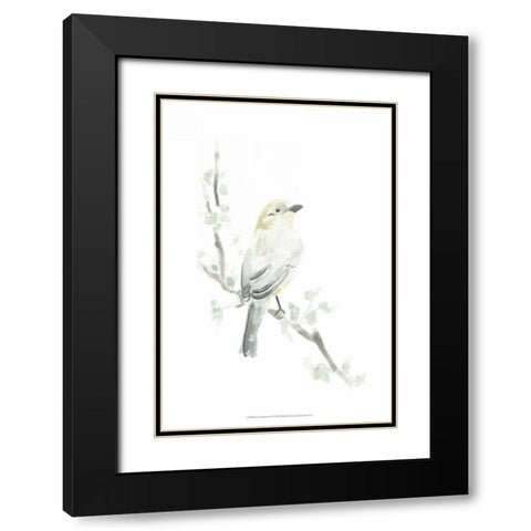 Avian Impressions IV Black Modern Wood Framed Art Print with Double Matting by Vess, June Erica