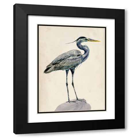 Blue Heron Rendering I Black Modern Wood Framed Art Print with Double Matting by Wang, Melissa