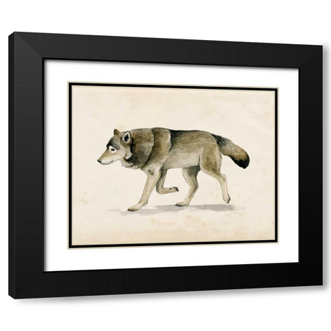 Wandering III Black Modern Wood Framed Art Print with Double Matting by Popp, Grace