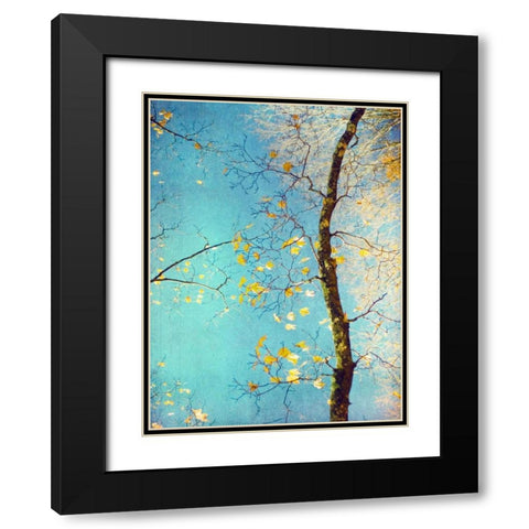 Autumn Tapestry III Black Modern Wood Framed Art Print with Double Matting by Stalus, Judy