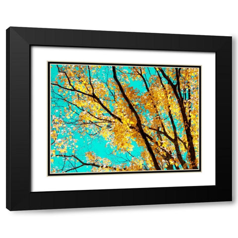 Autumn Tapestry IV Black Modern Wood Framed Art Print with Double Matting by Stalus, Judy