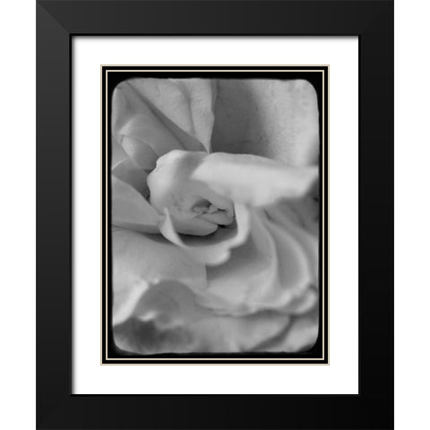 Rose Spiral II Black Modern Wood Framed Art Print with Double Matting by Stalus, Judy