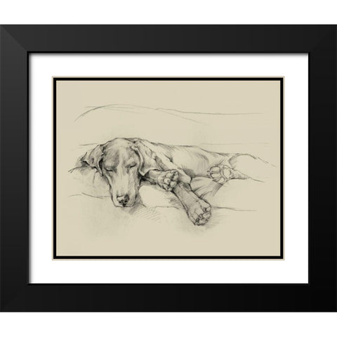 Dog Days II Black Modern Wood Framed Art Print with Double Matting by Harper, Ethan