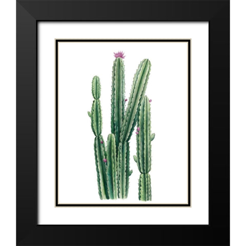 Desert Blooms II Black Modern Wood Framed Art Print with Double Matting by Popp, Grace