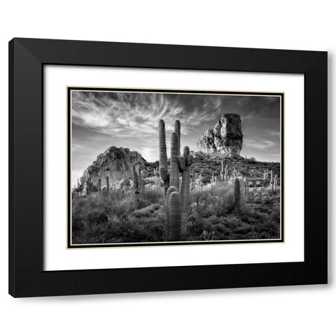 BandW Desert View I Black Modern Wood Framed Art Print with Double Matting by Drost, David